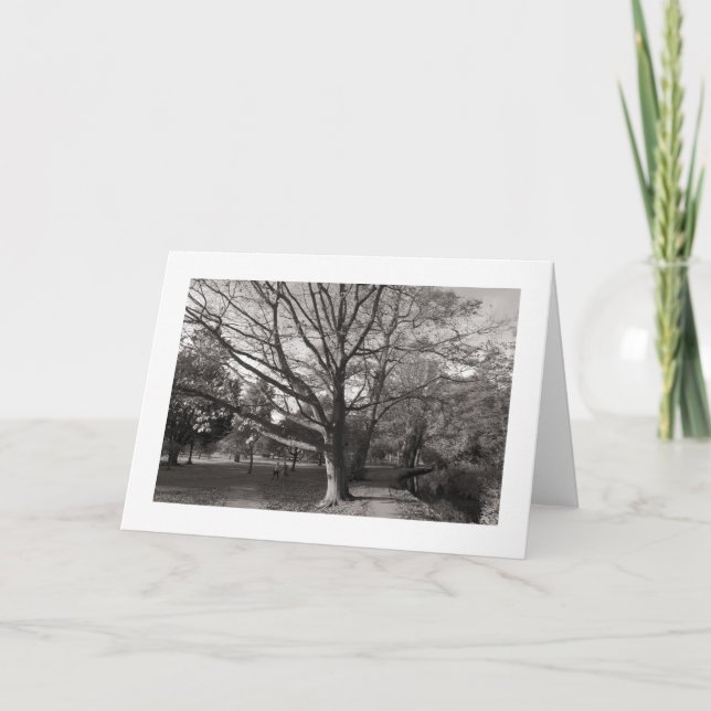 Autumn Landscape, Bute Park, Cardiff (bordered) Card (Front)