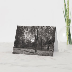 Autumn Landscape, Bute Park, Cardiff Card