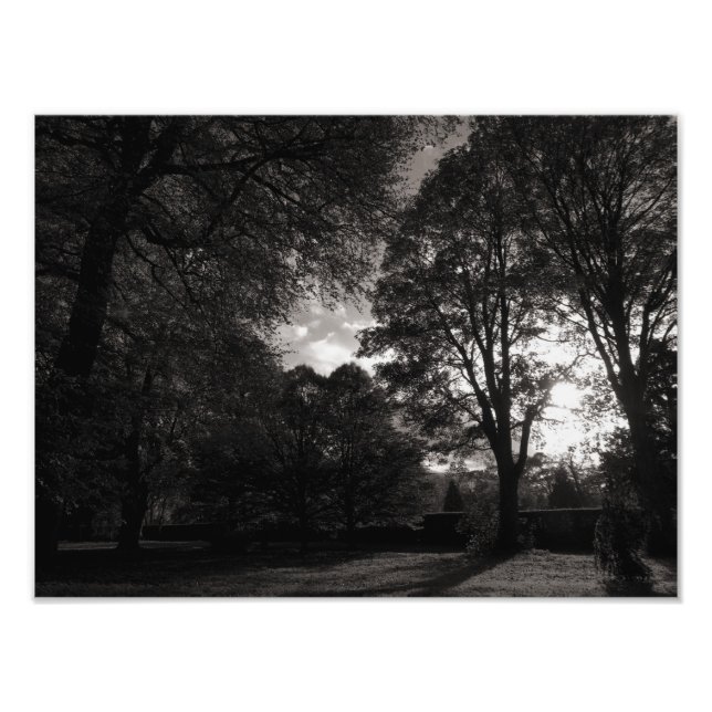 Autumn Landscape Bute Park Cardiff Photo Print (Front)