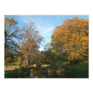 Autumn Landscape, Bute Park, Cardiff Photo Print