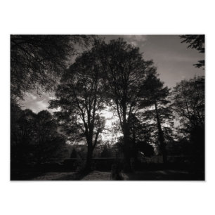 Autumn Landscape Bute Park Cardiff Photo Print