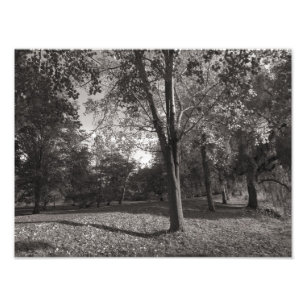 Autumn Landscape, Bute Park, Cardiff Photo Print
