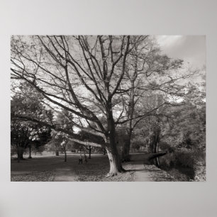 Autumn Landscape Bute Park Cardiff Poster