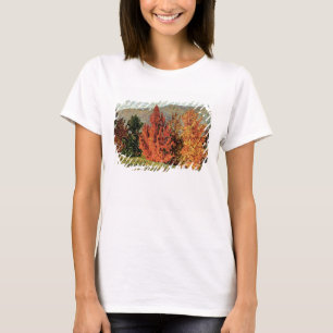 Autumn Landscape, c.1903 (oil on canvas) T-Shirt