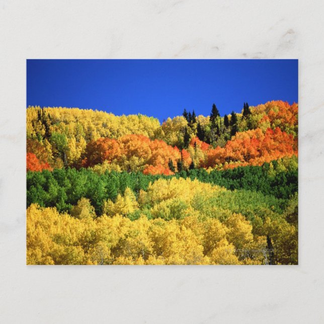 Autumn Landscape Postcard (Front)