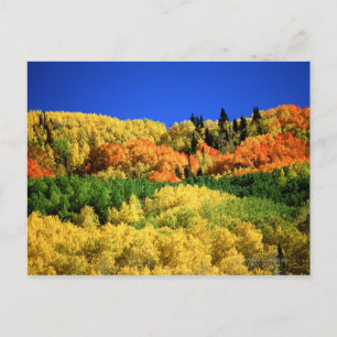 Autumn Landscape Postcard