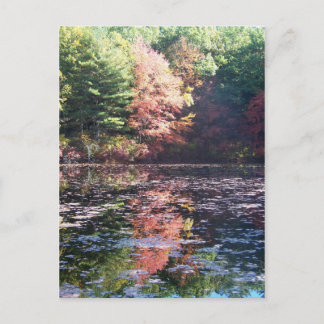 Autumn Landscape Reflections II Postcard