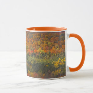 "AUTUMN LANDSCAPE" VALLEY OF TREES TURNED TO GOLD, MUG