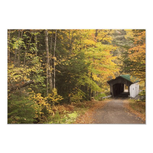 Autumn landscape, Vermont, USA 2 Photo Print (Front)