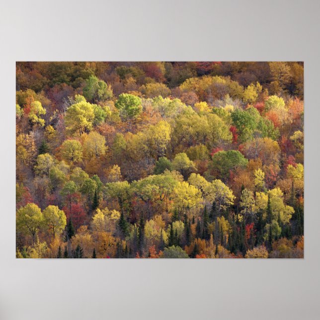 Autumn landscape, Vermont, USA 2 Poster (Front)