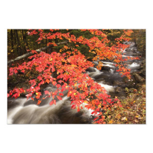 Autumn landscape, Vermont, USA 4 Photo Print
