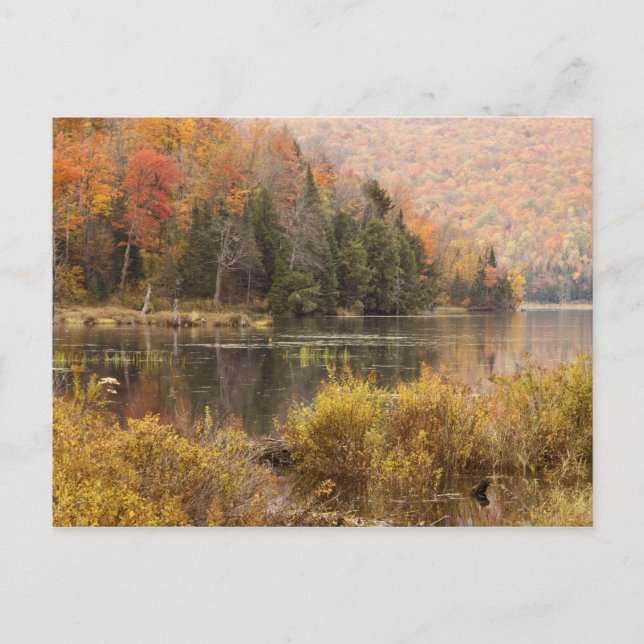 Autumn landscape with lake, Vermont, USA 3 Postcard (Front)