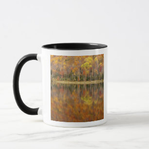 Autumn landscape with lake, Vermont, USA Mug