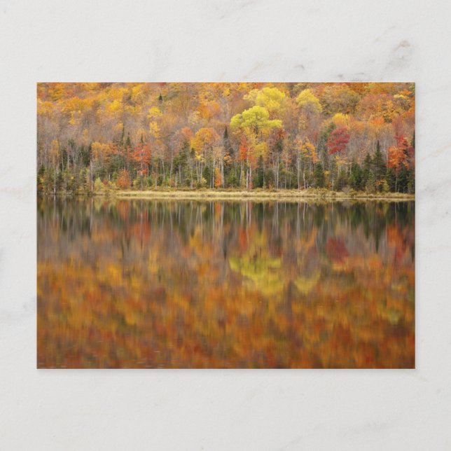 Autumn landscape with lake, Vermont, USA Postcard (Front)