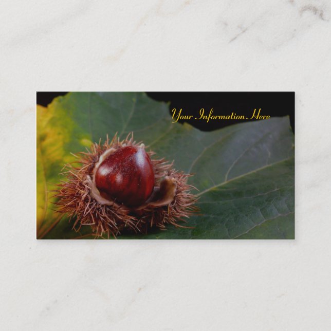 Autumn Leaf and Nut Business Cards (Front)