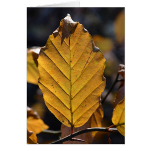 Autumn Leaf Card