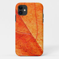 Autumn Leaf Close-up iPhone SE+5/5S Case
