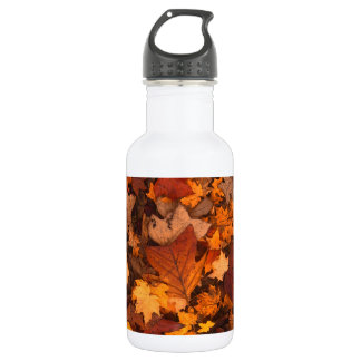 Autumn Leaf Fall Foliage 532 Ml Water Bottle