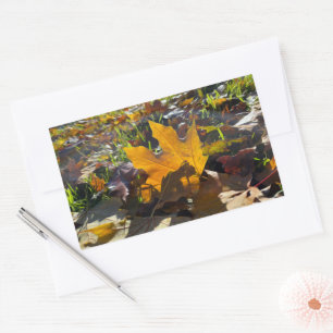 Autumn leaf in the sun sticker