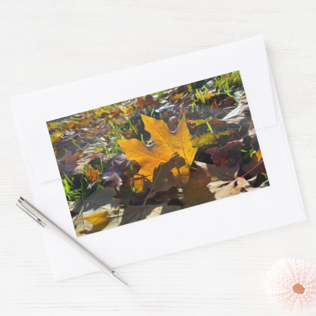 Autumn leaf in the sun sticker (Envelope)