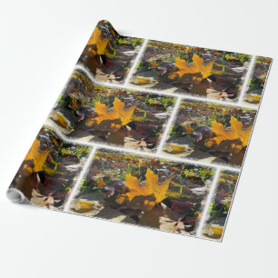 Autumn leaf in the sun wrapping paper