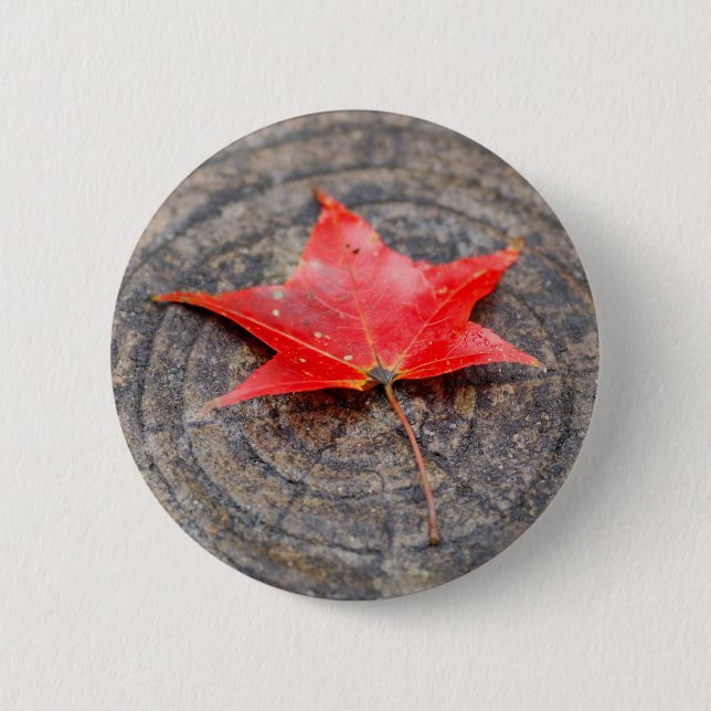Autumn Leaf on Log Round Button (Front)