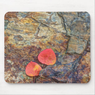 Autumn leaf on rock, California Mouse Pad