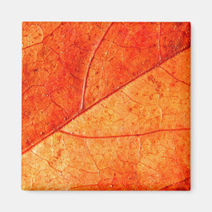 Autumn Leaf Square Magnet