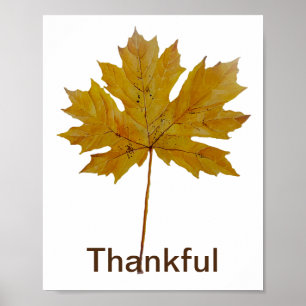 Autumn leaf Thankful watercolor Poster