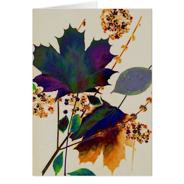 Autumn Leaves (Devant)