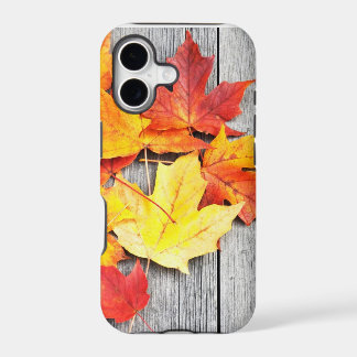 Autumn Leaves
