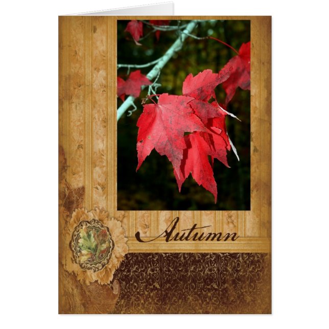 Autumn Leaves (Front)