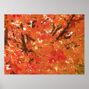 Autumn Leaves 1 Poster