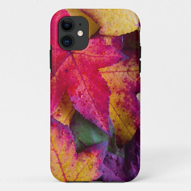 Autumn Leaves #2 Case-Mate iPhone Case (Back)