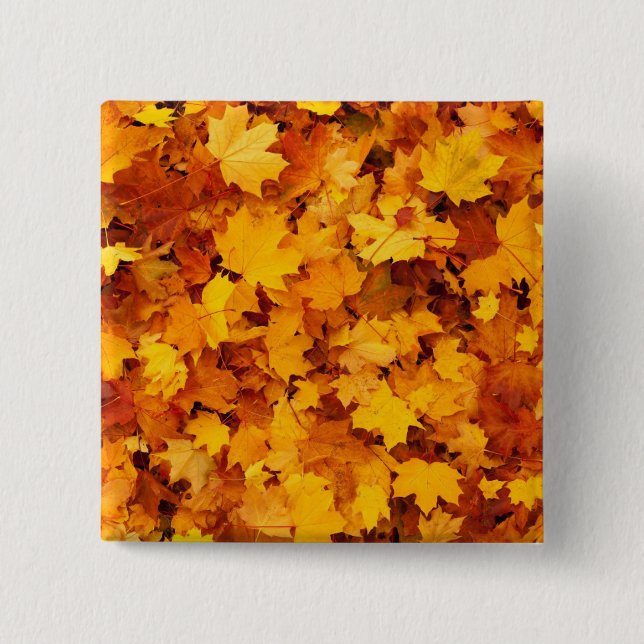 Autumn Leaves 2 Inch Square Button (Front)