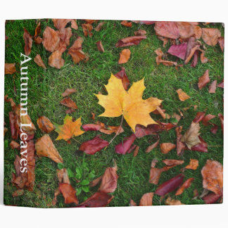 Autumn Leaves (2in) Binder
