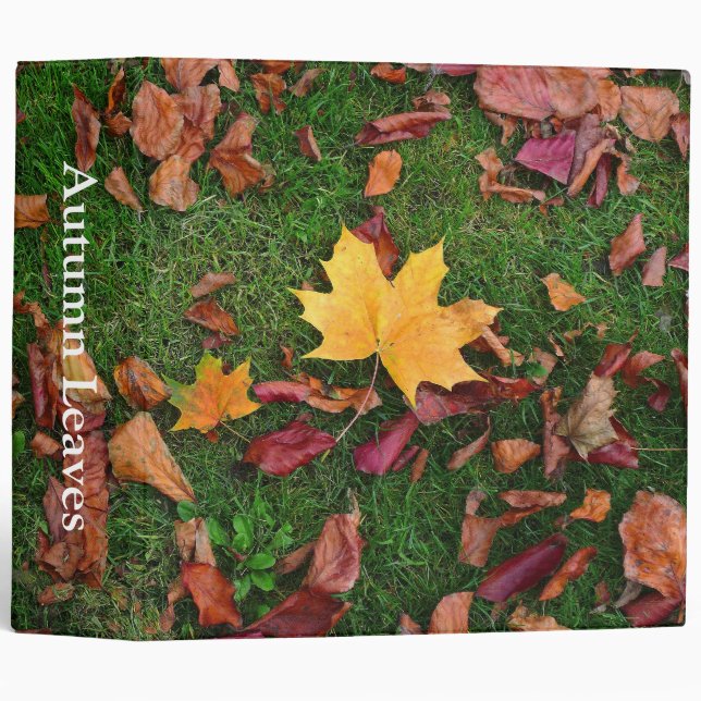Autumn Leaves (2in) Binder (Front/Spine)