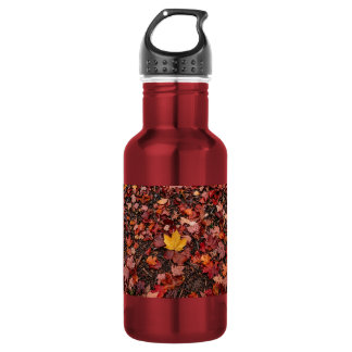 Autumn leaves 532 ml water bottle