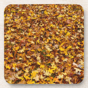 Autumn Leaves Abstract Coaster
