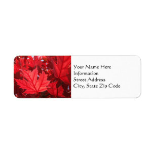 Autumn Leaves Address Labels Custom Fall Tree Leaf
