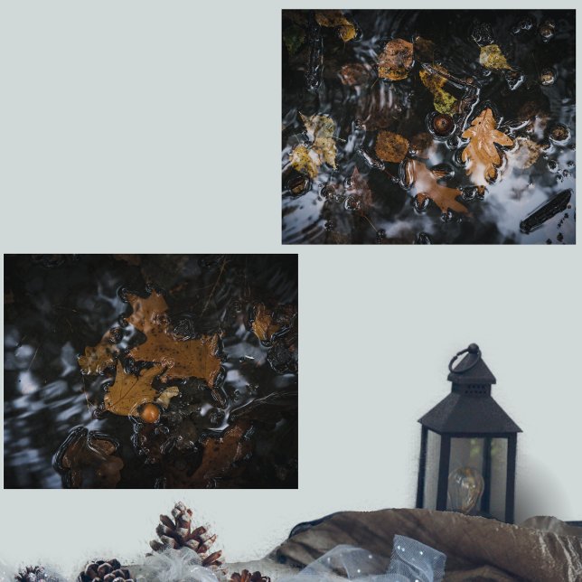 Autumn leaves and acorns in mysterious waters (Creator Uploaded)