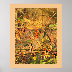 Autumn Leaves and Berries Poster