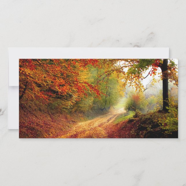 Autumn Leaves and Trees Covering Dirt Road (Front)
