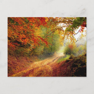 Autumn Leaves and Trees Covering Dirt Road Postcard
