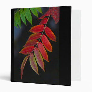 autumn leaves binder