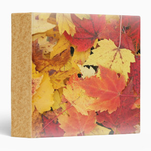 Autumn Leaves Binder
