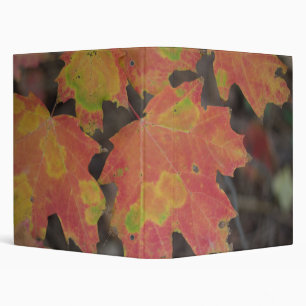 Autumn Leaves Binder