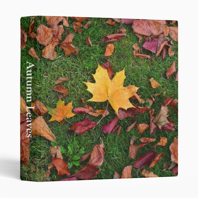 Autumn Leaves Binder (Front/Spine)