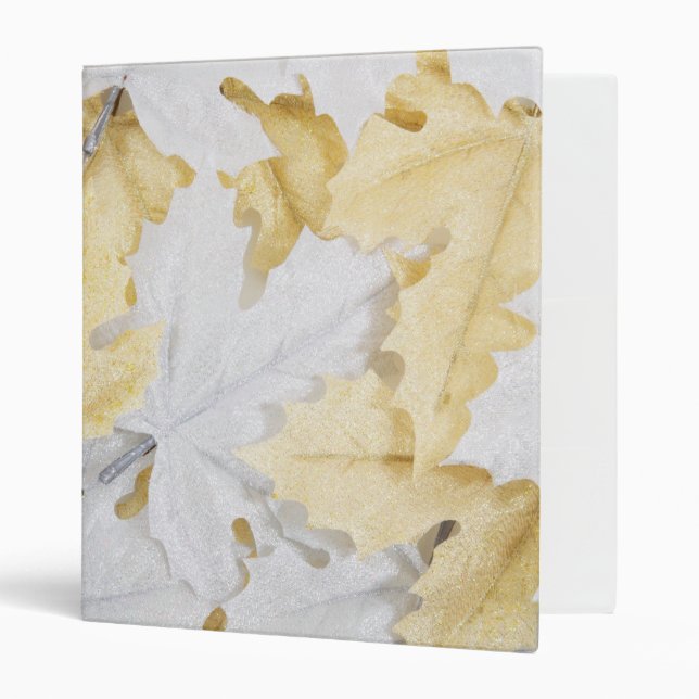 Autumn Leaves Binder (Front/Inside)