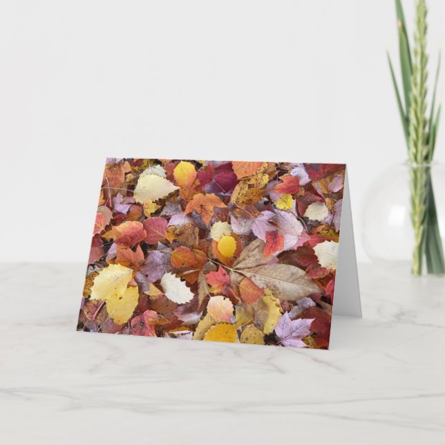 Autumn Leaves Blank Note Card (Front)